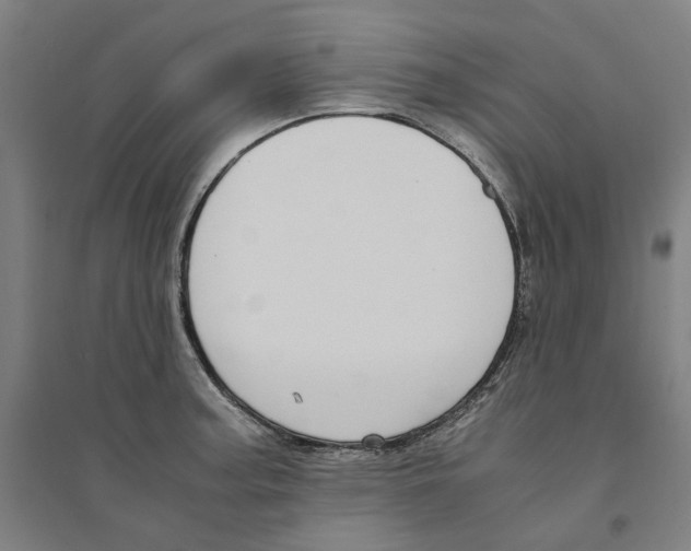X0000094361187200711301418