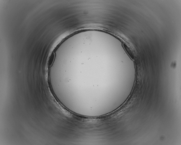X0000094361188200711301418