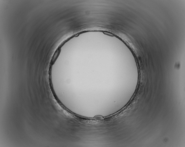 X0000094361189200711301418