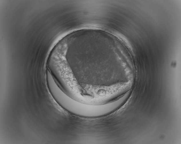 X0000094361192200711301418