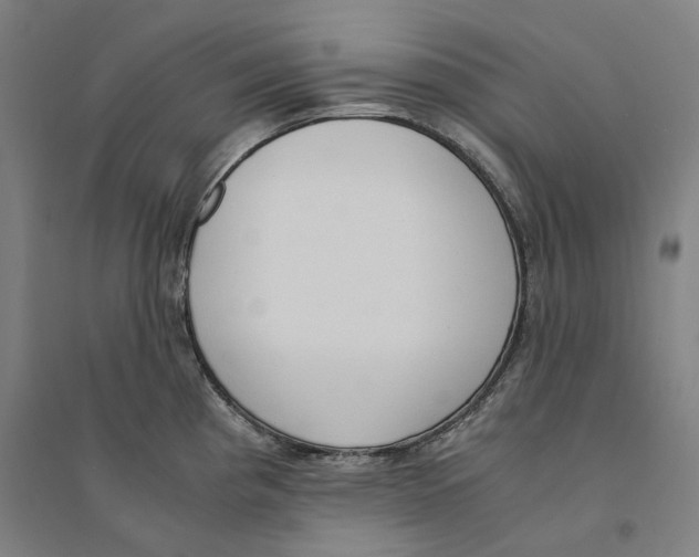 X0000094361193200711301418