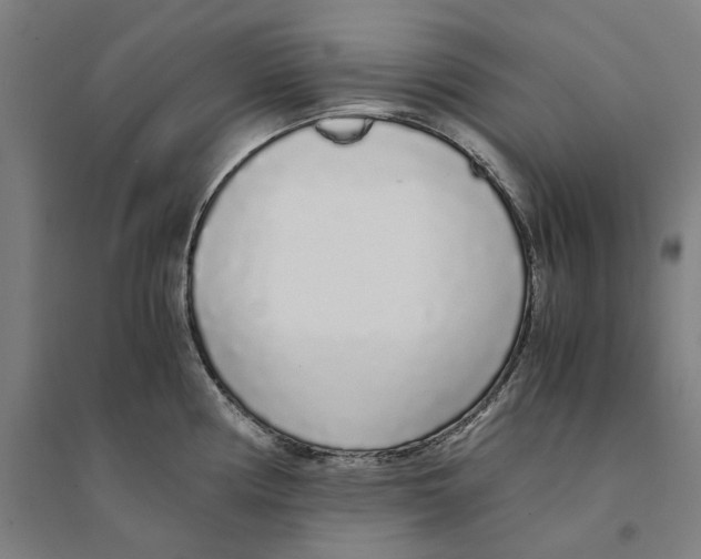 X0000094361194200711301418