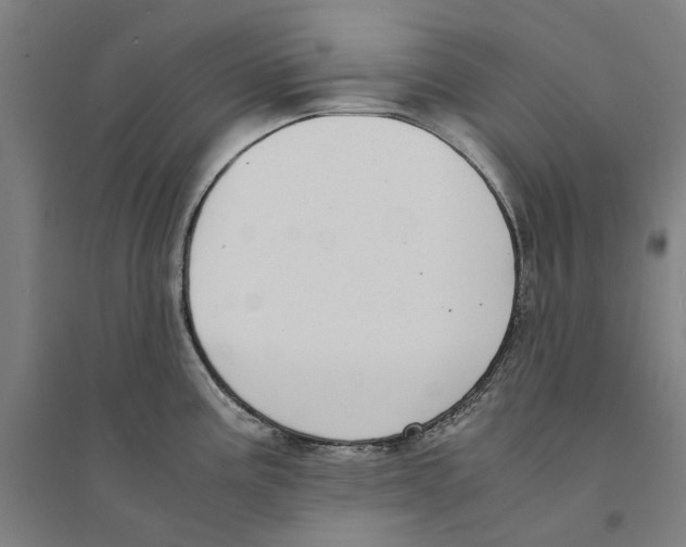 X0000094361195200711301418