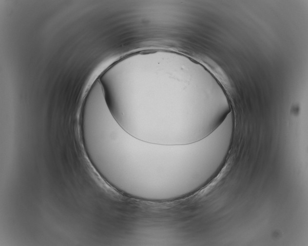 X0000094361196200711301418