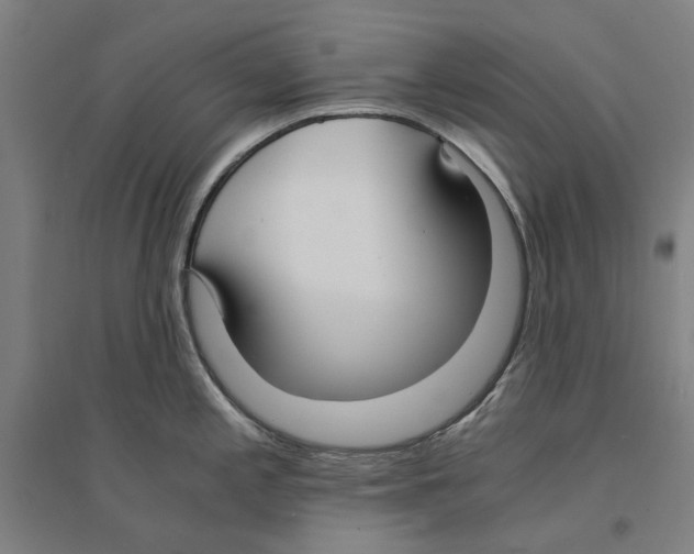 X0000094361197200711301418