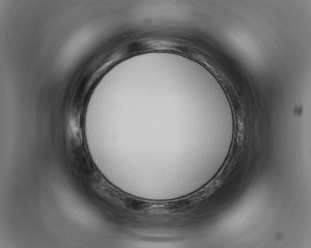 X0000094361198200711301418