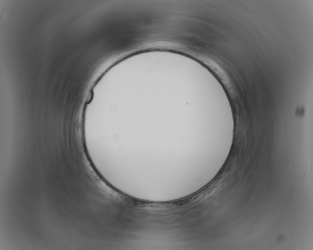 X0000094361199200711301418