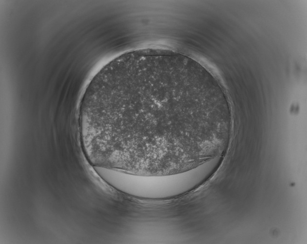 X0000094361200200711301418