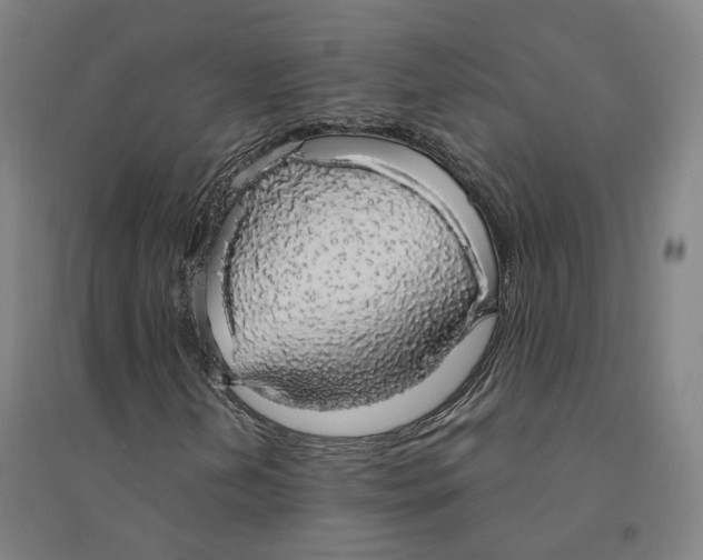 X0000094361202200711301417
