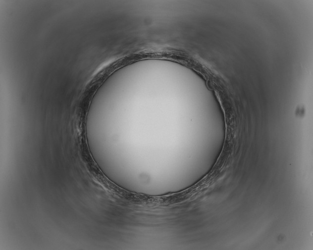 X0000094361206200711301417