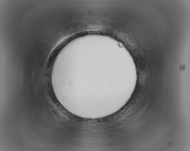 X0000094361208200711301417