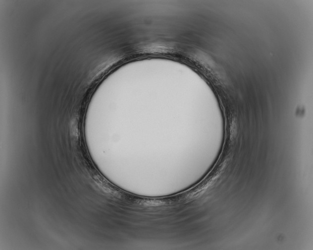 X0000094361209200711301417