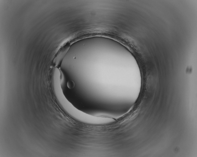 X0000094361210200711301417