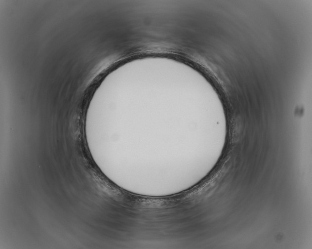 X0000094361211200711301417