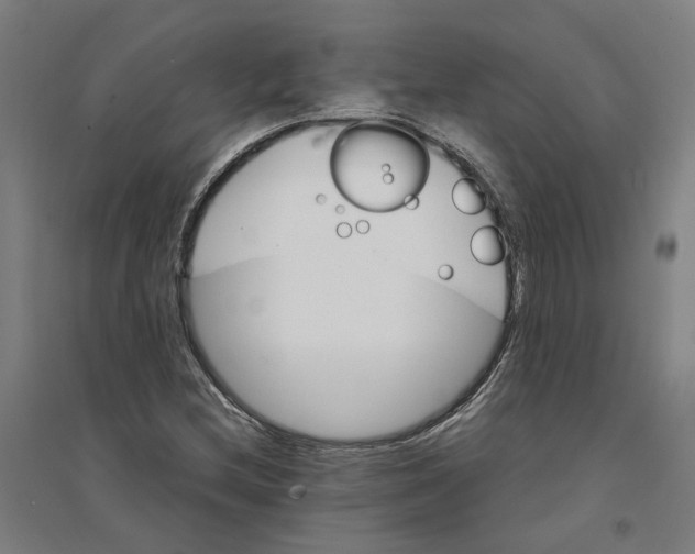 X0000094361212200711301417