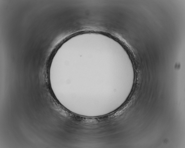 X0000094361215200711301417