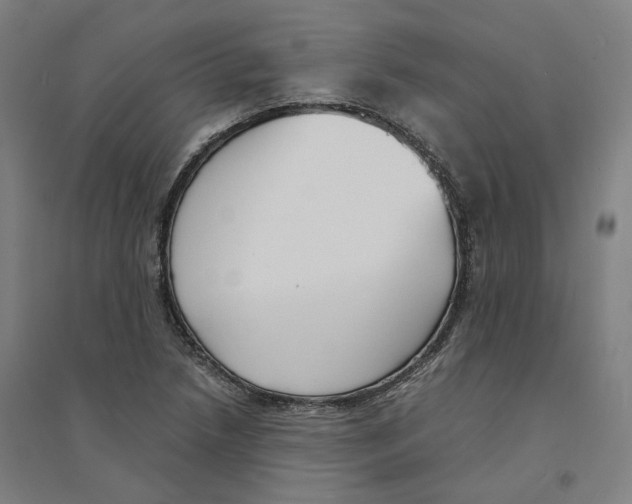 X0000094361218200711301417