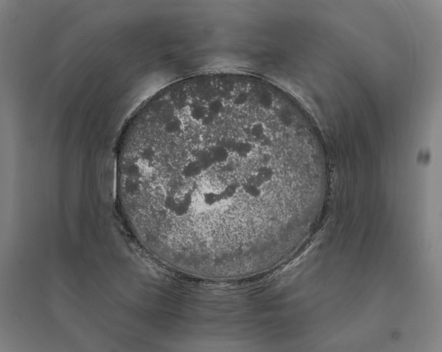 X0000094361219200711301417