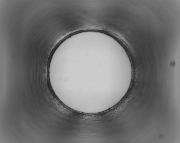 X0000094361220200711301417