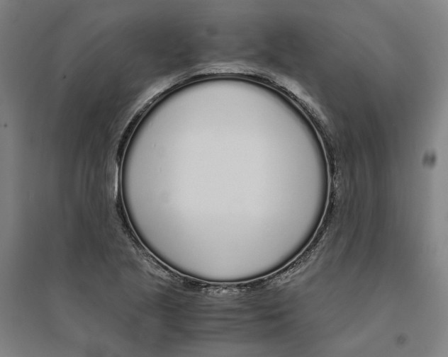 X0000094361221200711301417