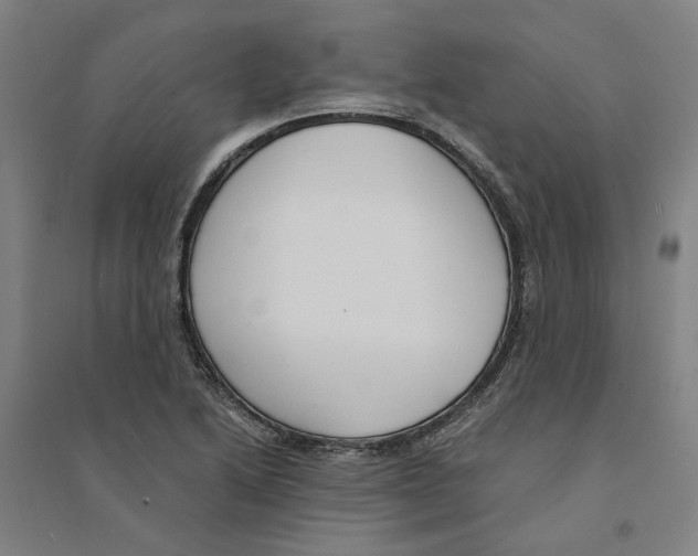 X0000094361222200711301417