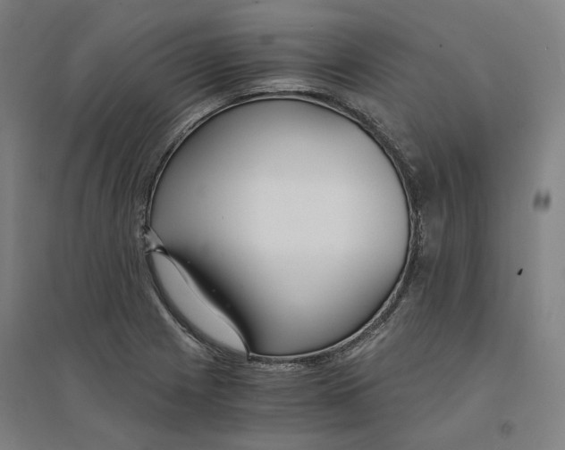 X0000094361225200711301417
