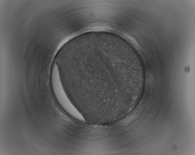 X0000094361226200711301417