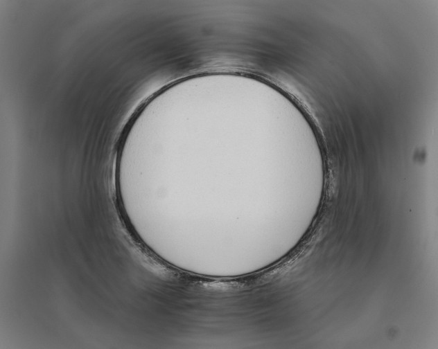 X0000094361227200711301417