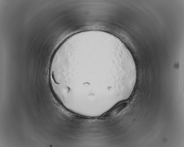X0000094361228200711301417