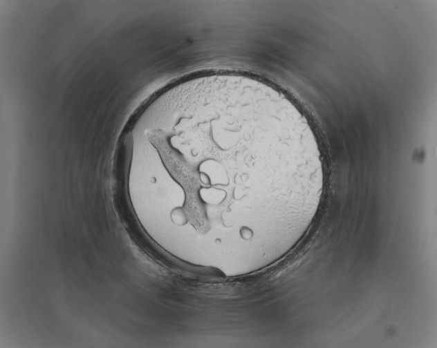 X0000094361229200711301417
