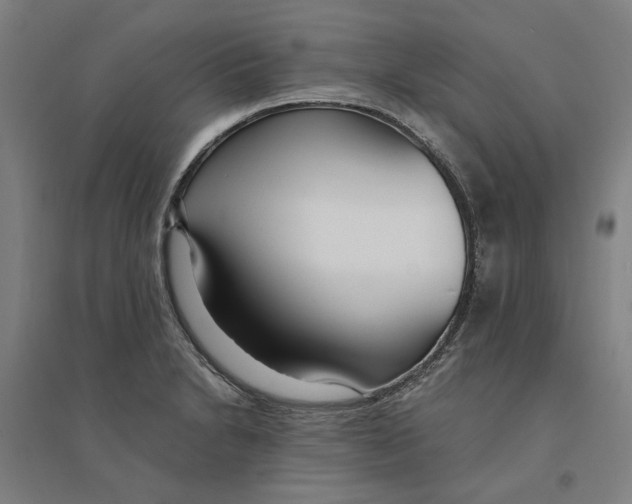 X0000094361230200711301417
