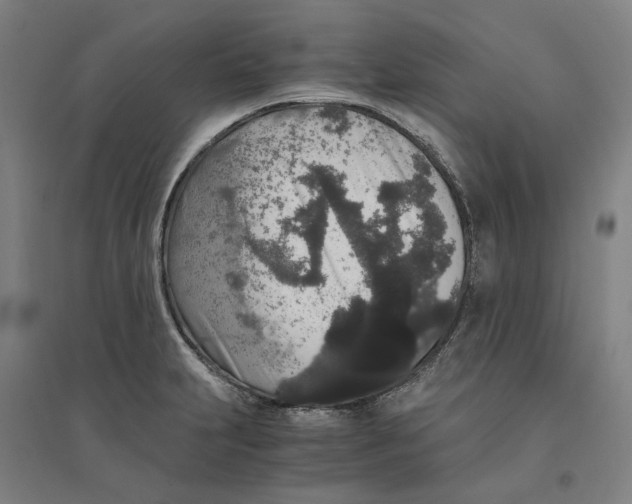 X0000094361231200711301417