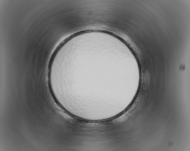 X0000094361232200711301417