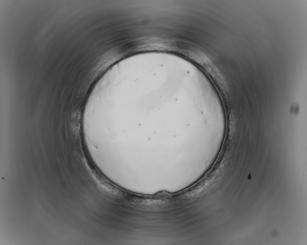X0000094361233200711301418