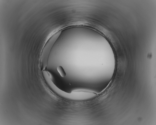X0000094361234200711301418