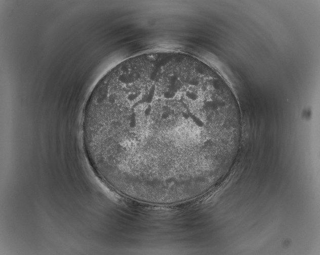 X0000094361235200711301418