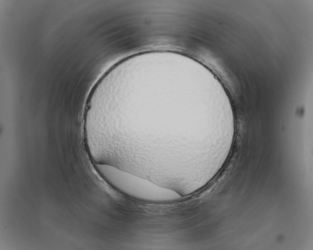X0000094361236200711301418