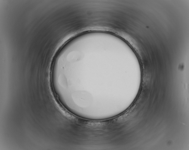 X0000094361237200711301418