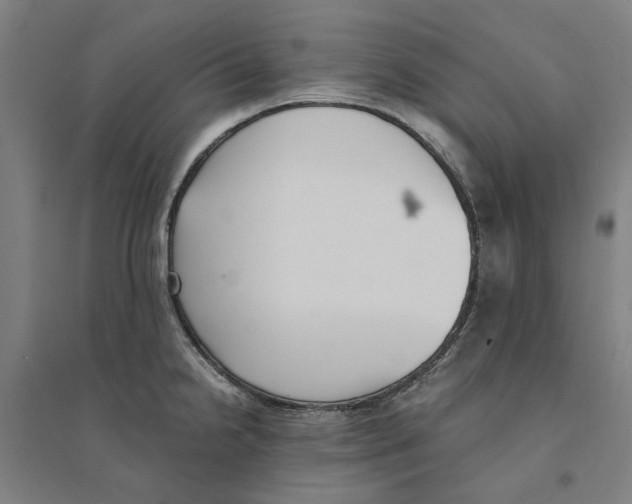 X0000094361238200711301418