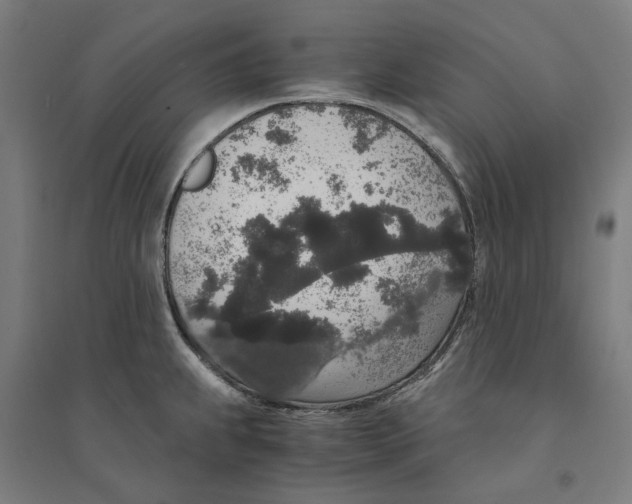 X0000094361239200711301418
