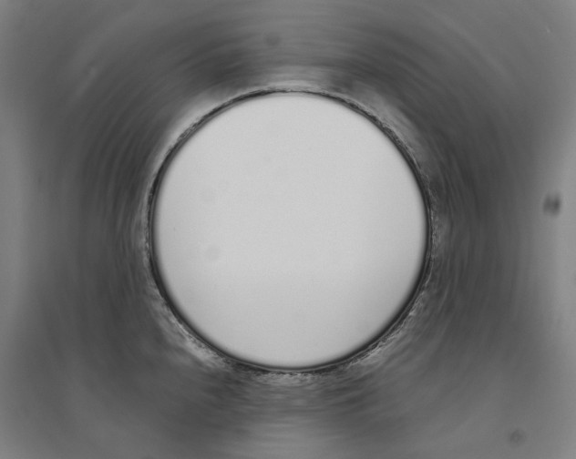X0000094361240200711301418