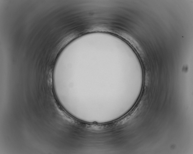 X0000094361241200711301418