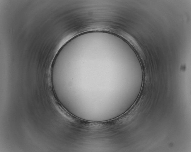 X0000094361242200711301418