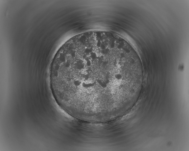 X0000094361243200711301418