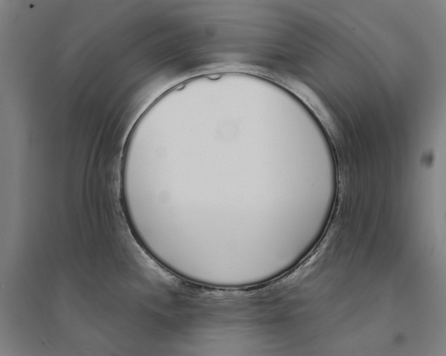 X0000094361244200711301418
