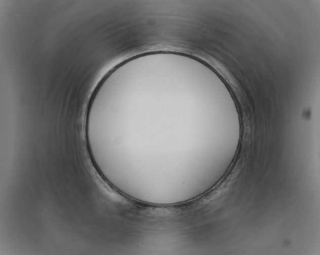 X0000094361246200711301418