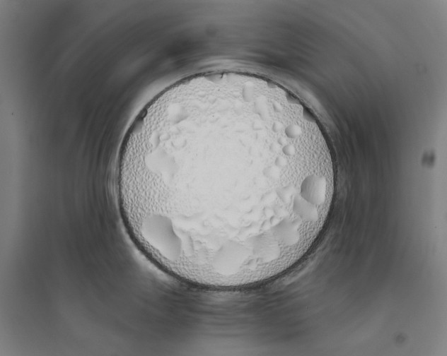 X0000094361247200711301418