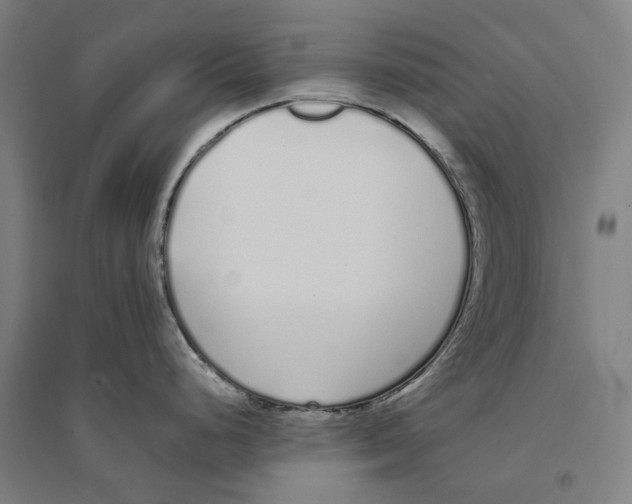 X0000094361248200711301418