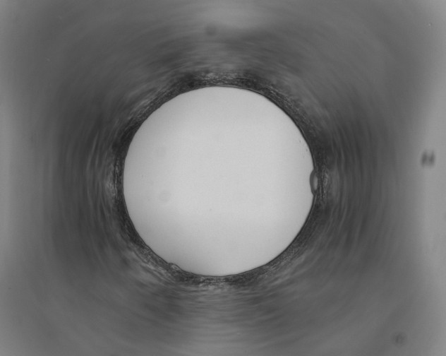X0000094361250200711301417