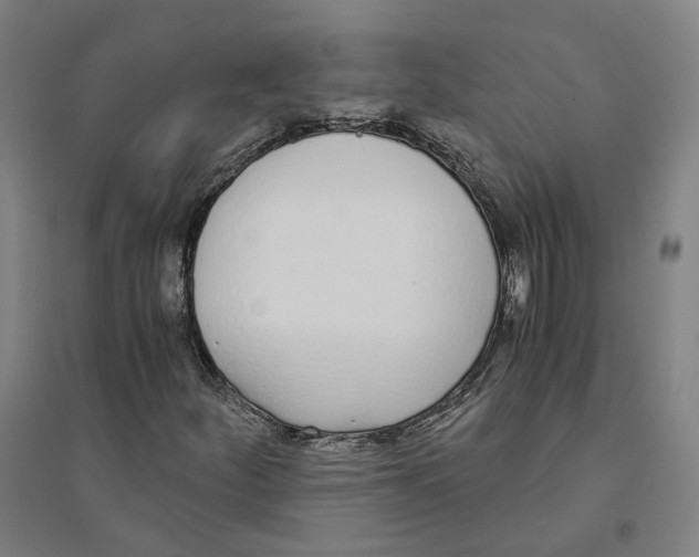 X0000094361252200711301417